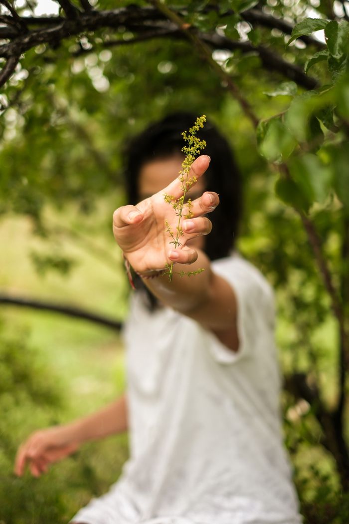 services-01 A person's hand holds a small plant outside, surrounded by lush greenery.